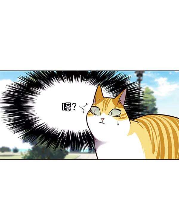 觉醒吧，铲屎官！71话