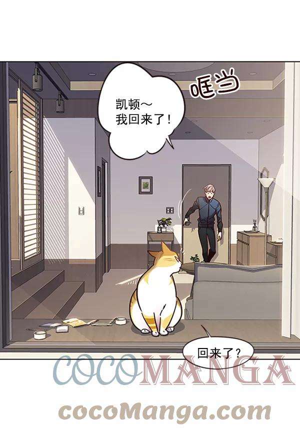 觉醒吧，铲屎官！72话