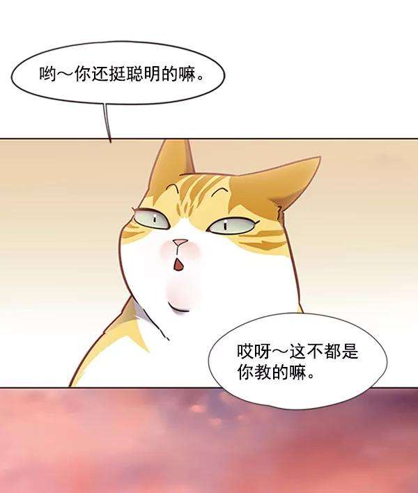 觉醒吧，铲屎官！72话