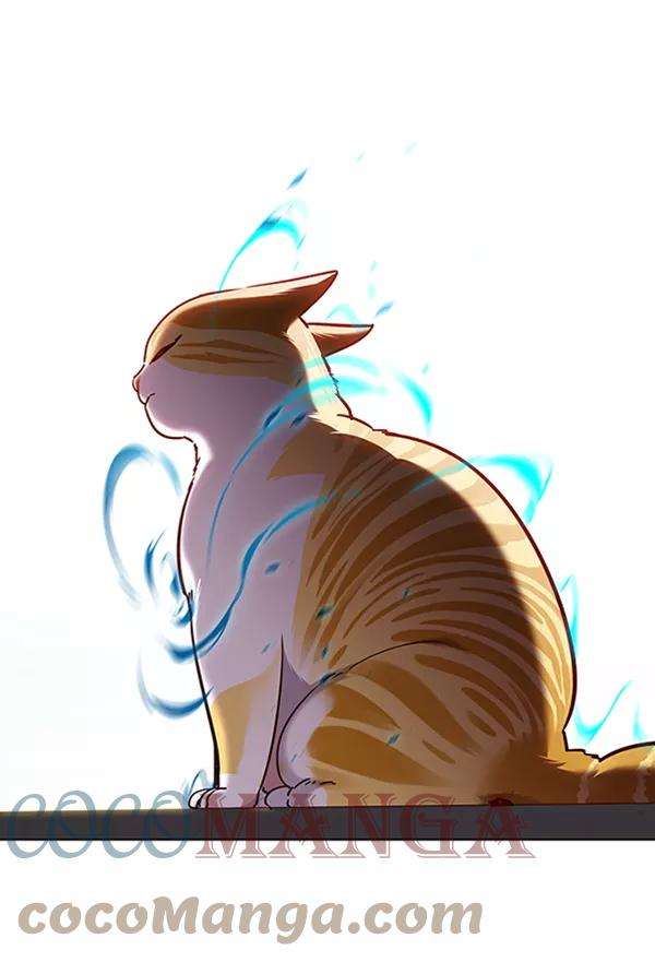 觉醒吧，铲屎官！73话