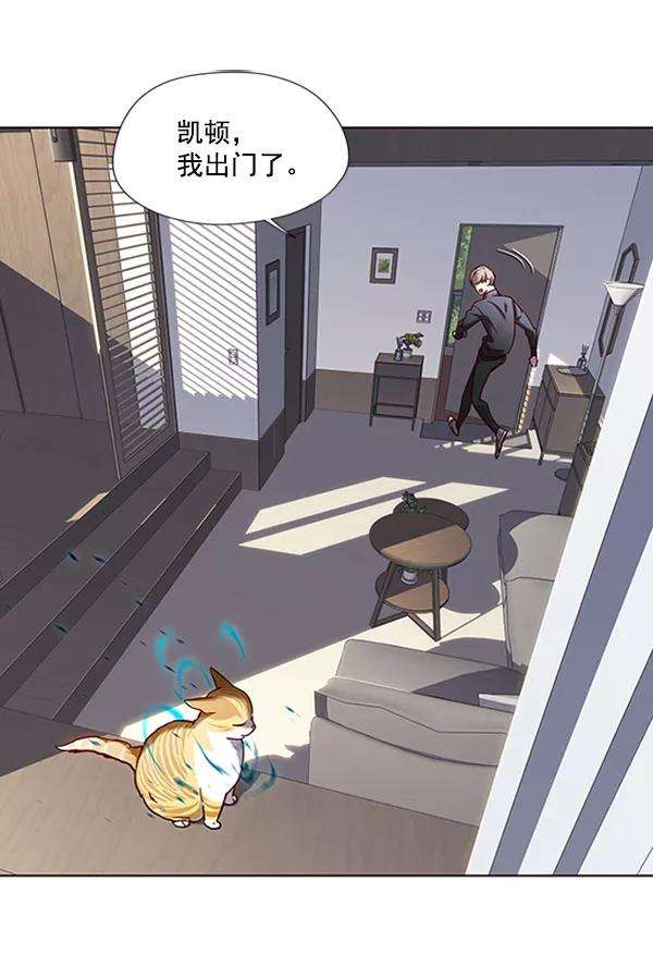 觉醒吧，铲屎官！73话