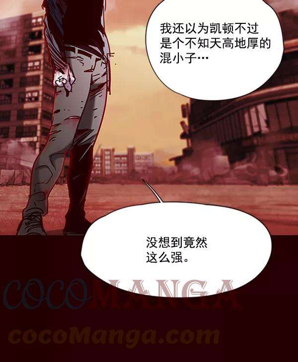 觉醒吧，铲屎官！73话