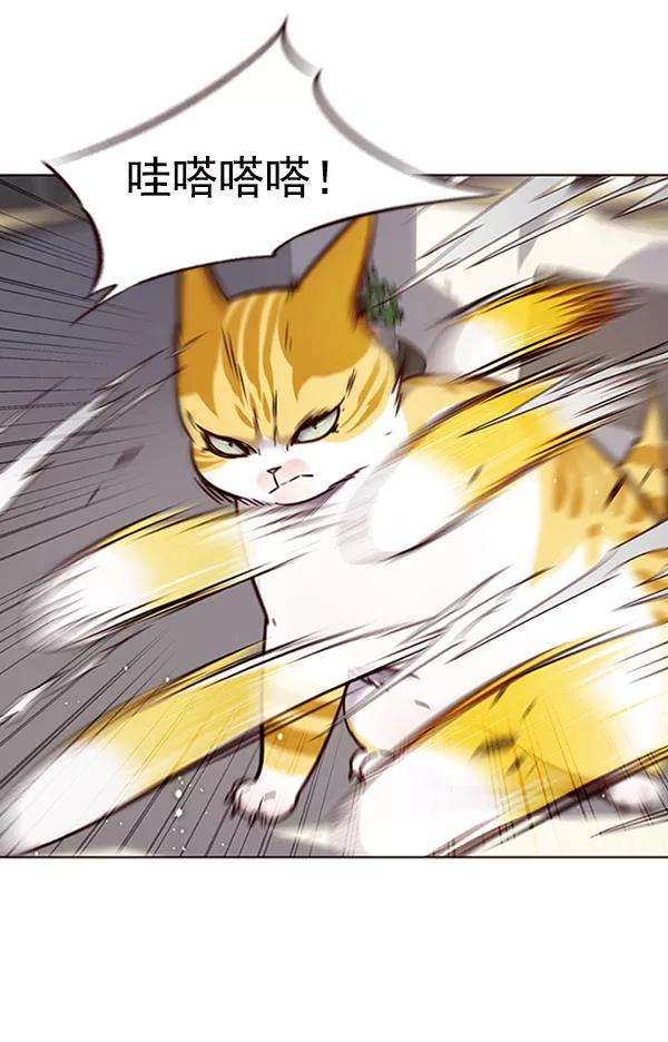 觉醒吧，铲屎官！74话