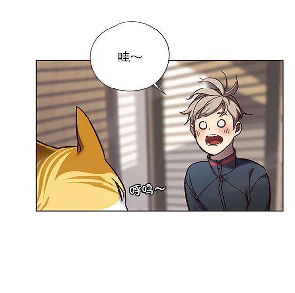 觉醒吧，铲屎官！74话