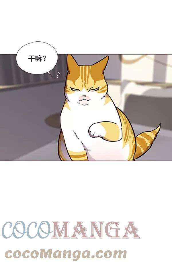 觉醒吧，铲屎官！74话