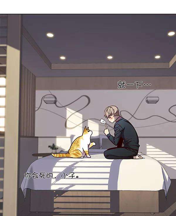 觉醒吧，铲屎官！74话