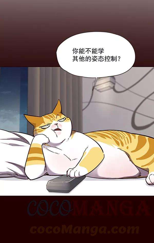 觉醒吧，铲屎官！75话