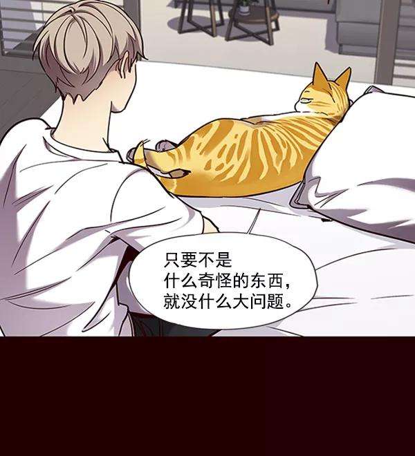 觉醒吧，铲屎官！75话