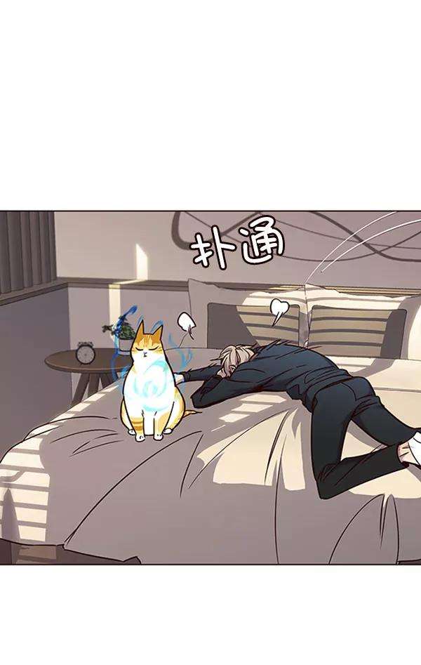 觉醒吧，铲屎官！76话