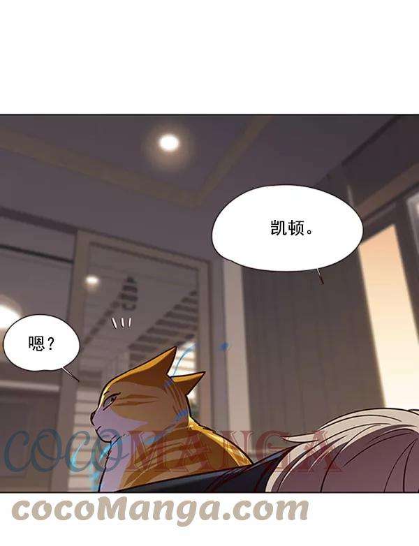 觉醒吧，铲屎官！76话