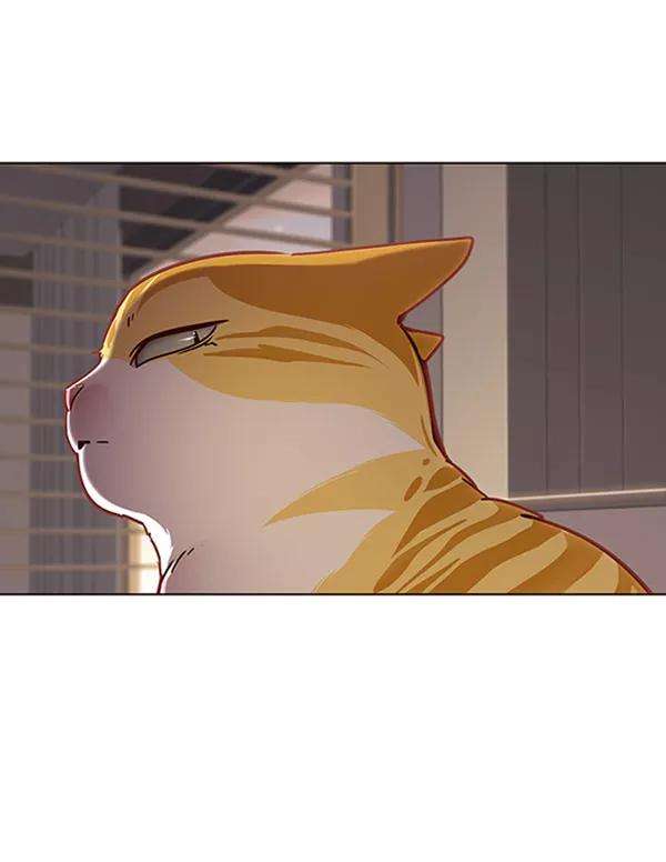 觉醒吧，铲屎官！76话