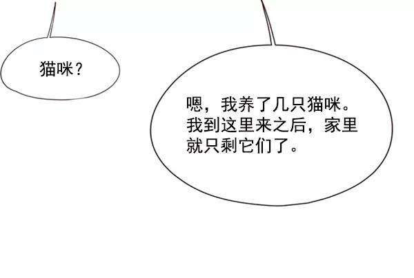 觉醒吧，铲屎官！78话