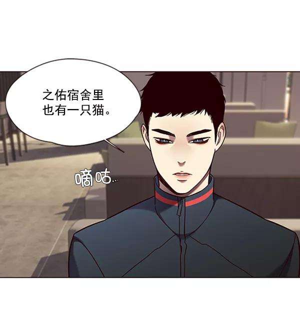觉醒吧，铲屎官！78话