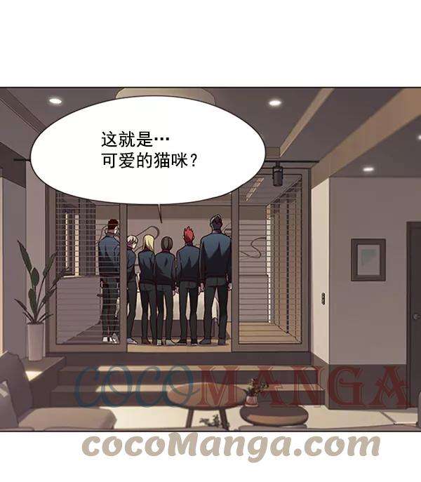 觉醒吧，铲屎官！78话