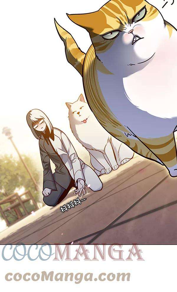 觉醒吧，铲屎官！80话