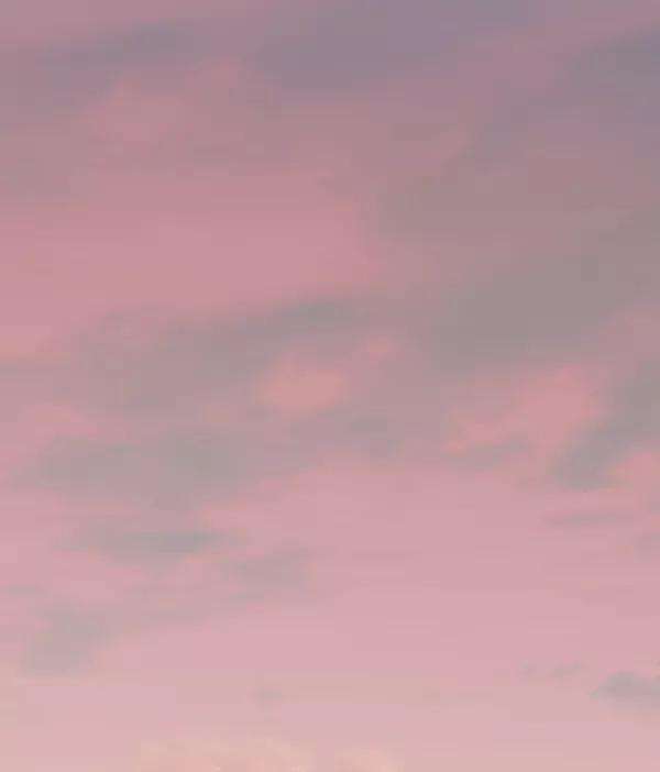 觉醒吧，铲屎官！80话