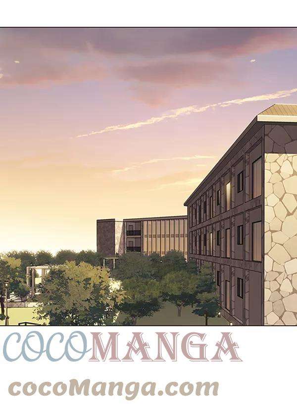 觉醒吧，铲屎官！80话