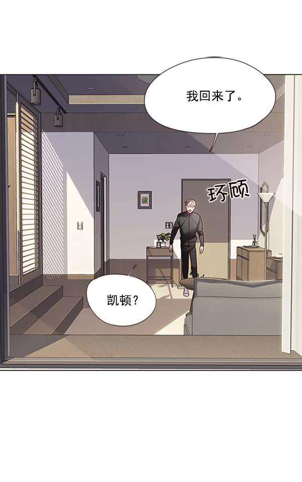 觉醒吧，铲屎官！80话