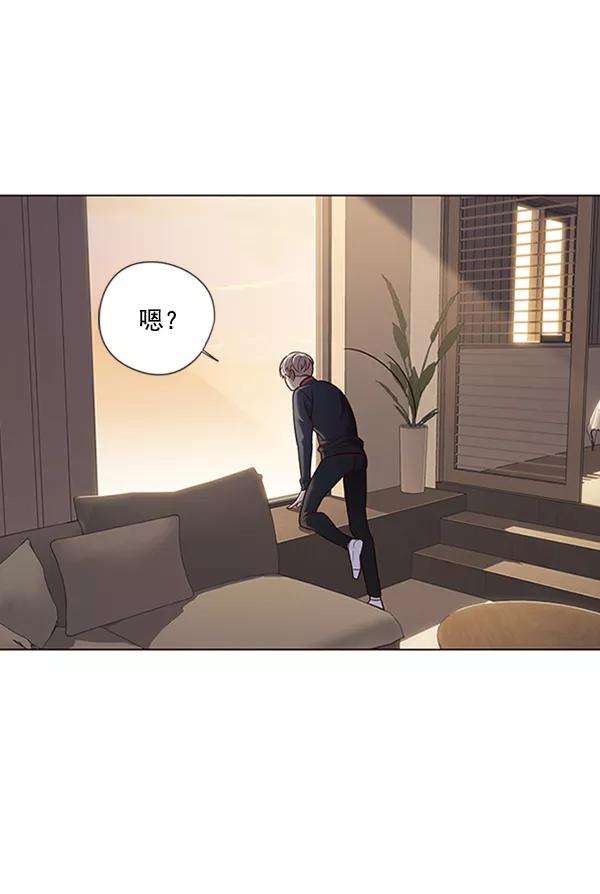 觉醒吧，铲屎官！80话