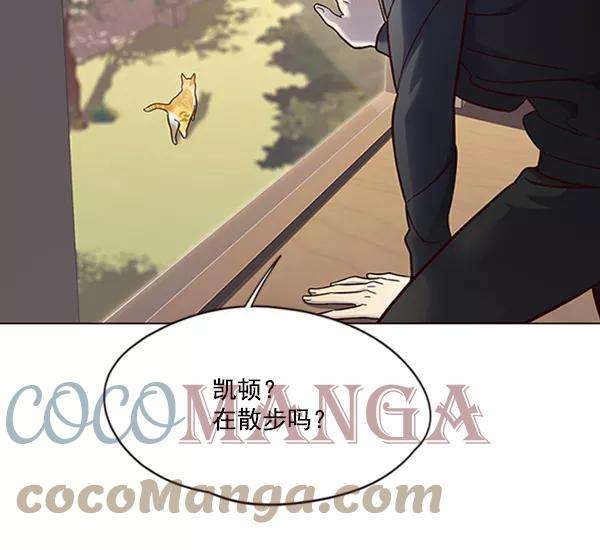 觉醒吧，铲屎官！80话