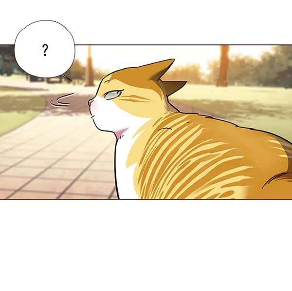 觉醒吧，铲屎官！80话