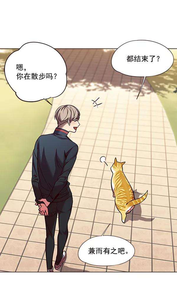 觉醒吧，铲屎官！80话