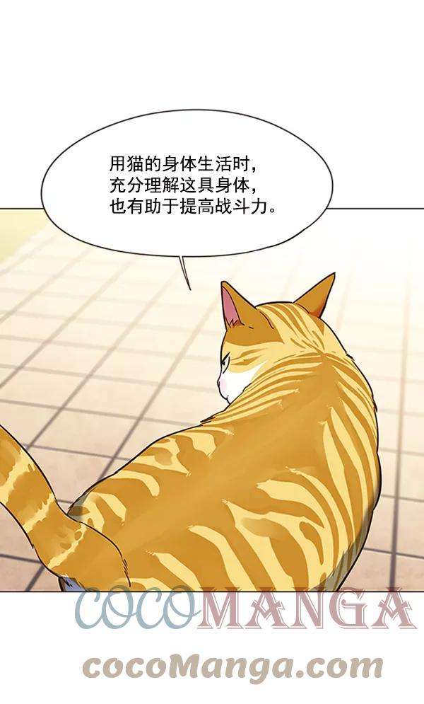 觉醒吧，铲屎官！80话