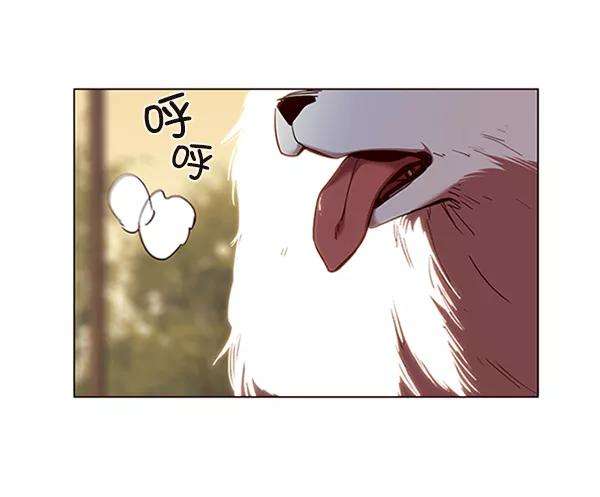 觉醒吧，铲屎官！80话