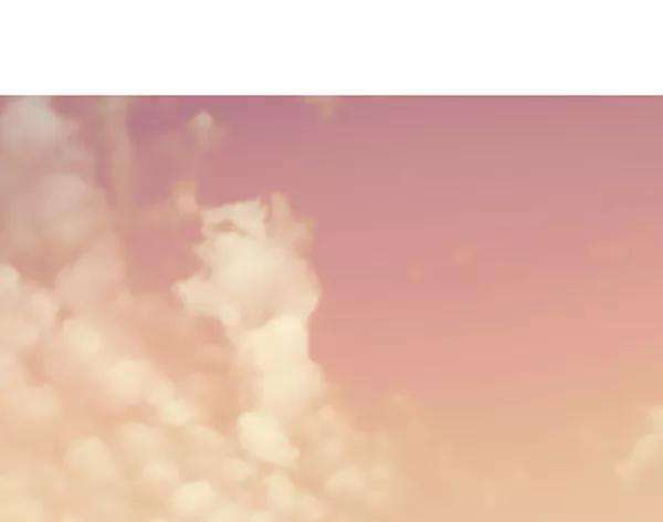 觉醒吧，铲屎官！80话