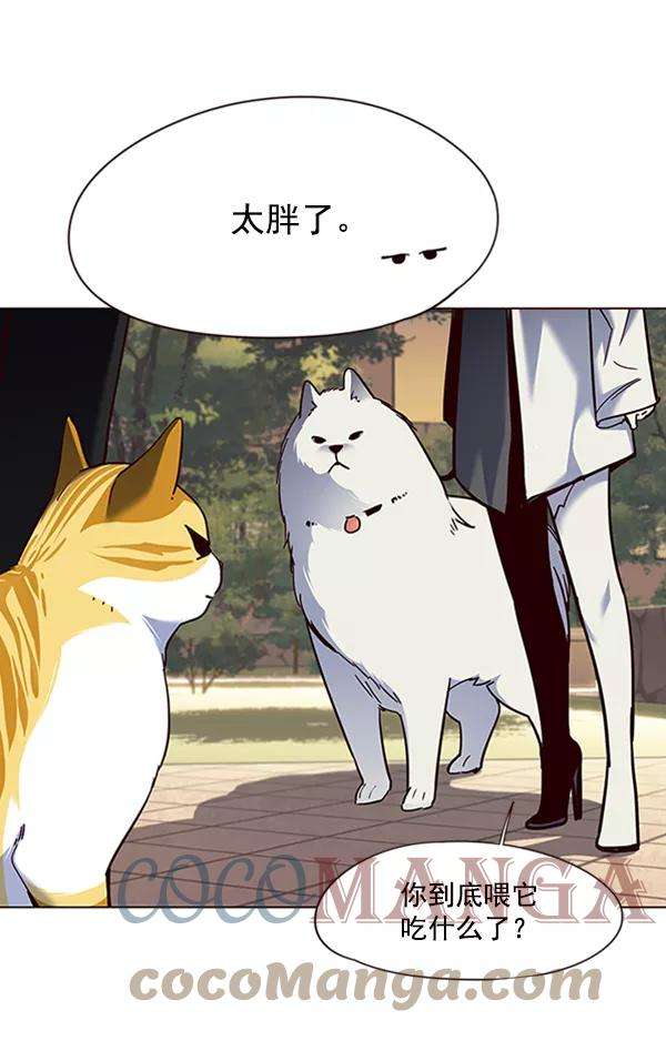 觉醒吧，铲屎官！80话