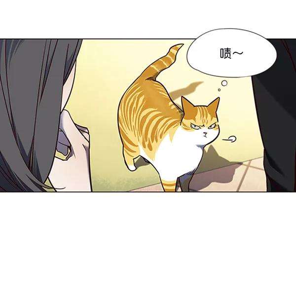 觉醒吧，铲屎官！80话