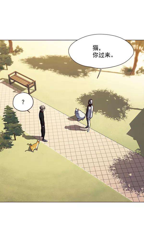 觉醒吧，铲屎官！80话