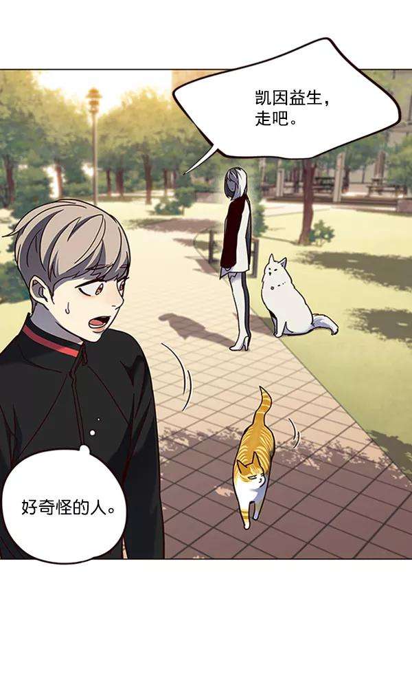 觉醒吧，铲屎官！80话