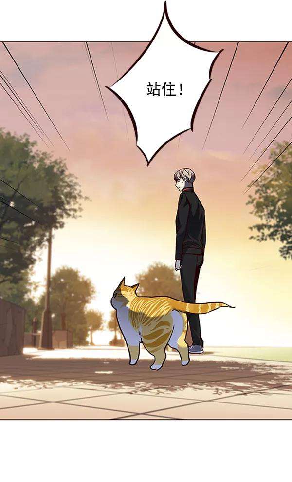 觉醒吧，铲屎官！80话