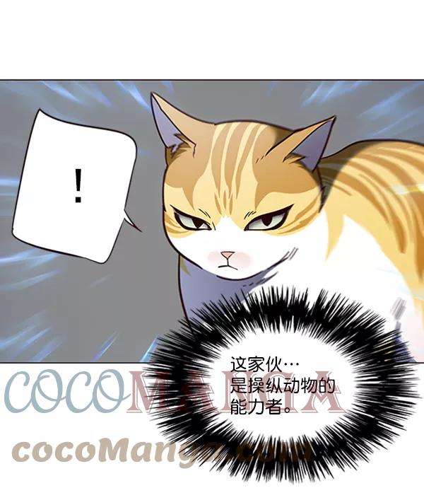 觉醒吧，铲屎官！80话