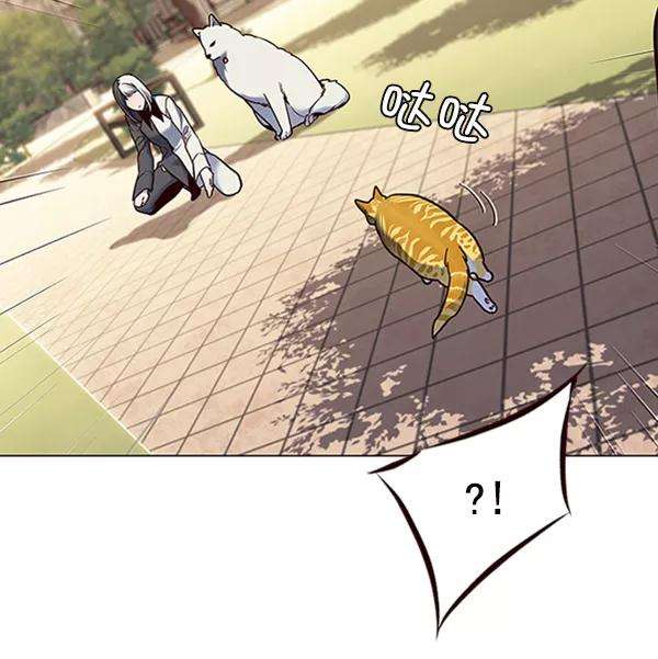 觉醒吧，铲屎官！80话