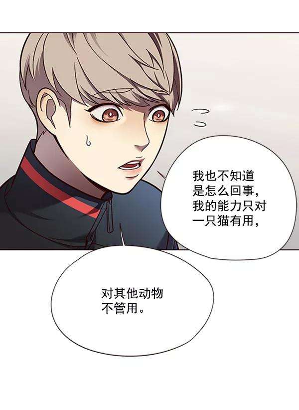 觉醒吧，铲屎官！81话