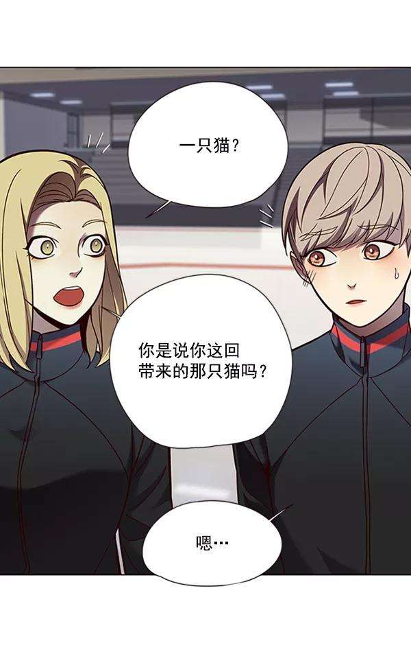 觉醒吧，铲屎官！81话