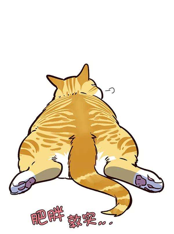 觉醒吧，铲屎官！81话