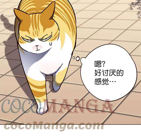 觉醒吧，铲屎官！81话