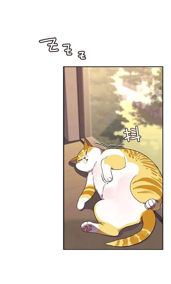 觉醒吧，铲屎官！81话