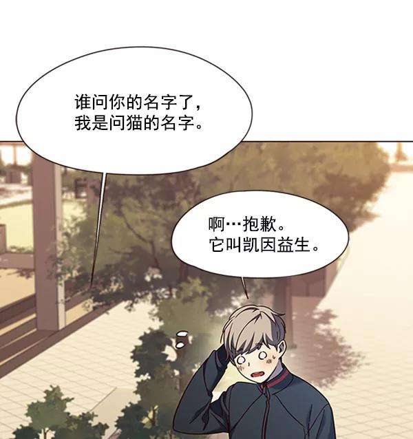 觉醒吧，铲屎官！81话