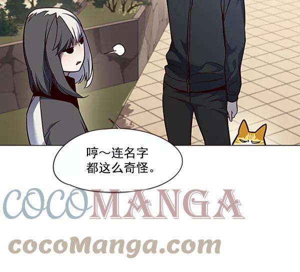 觉醒吧，铲屎官！81话