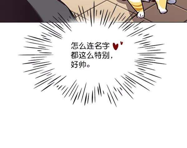 觉醒吧，铲屎官！81话