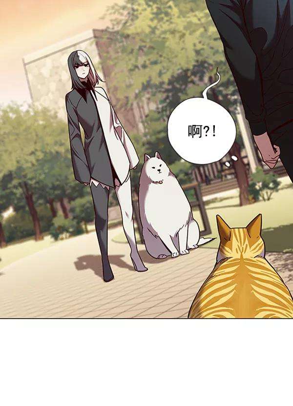 觉醒吧，铲屎官！81话