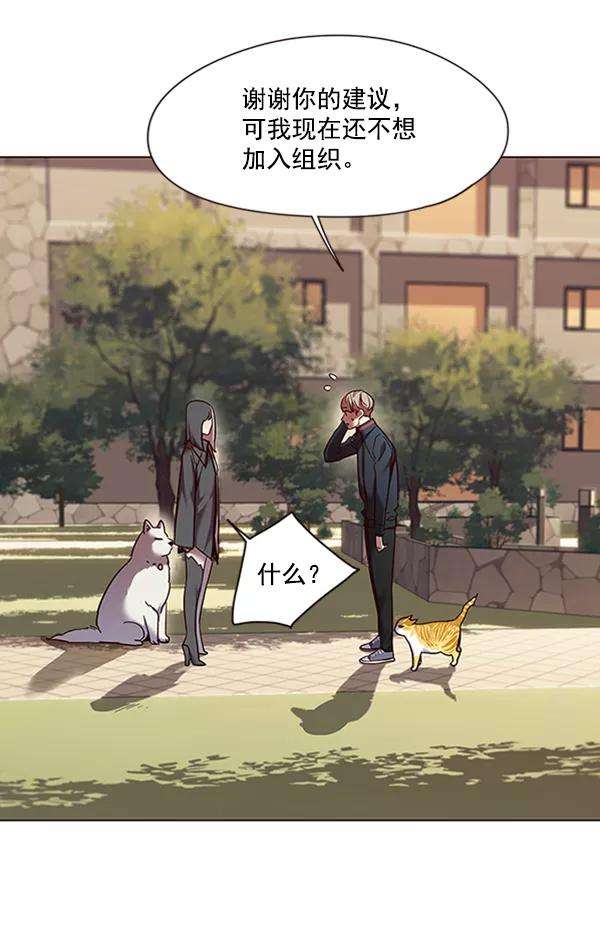 觉醒吧，铲屎官！81话