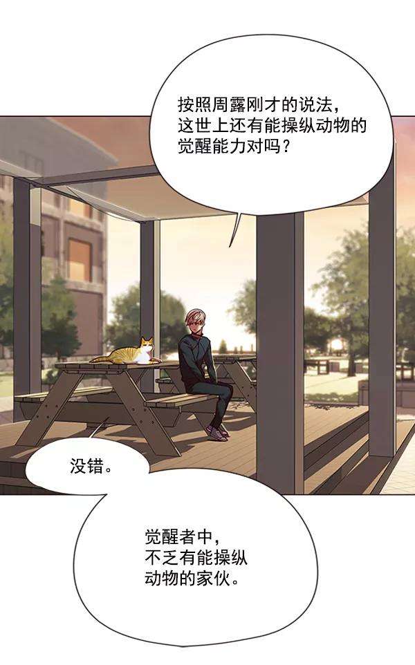 觉醒吧，铲屎官！81话