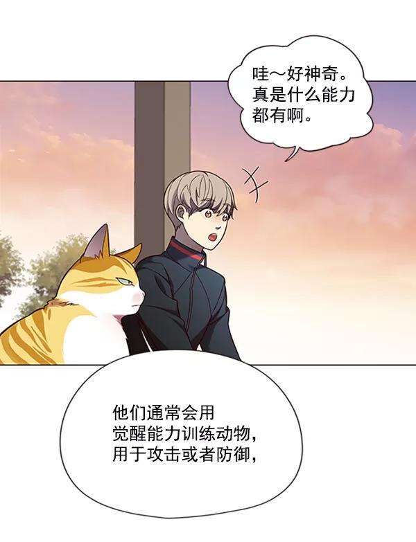 觉醒吧，铲屎官！81话