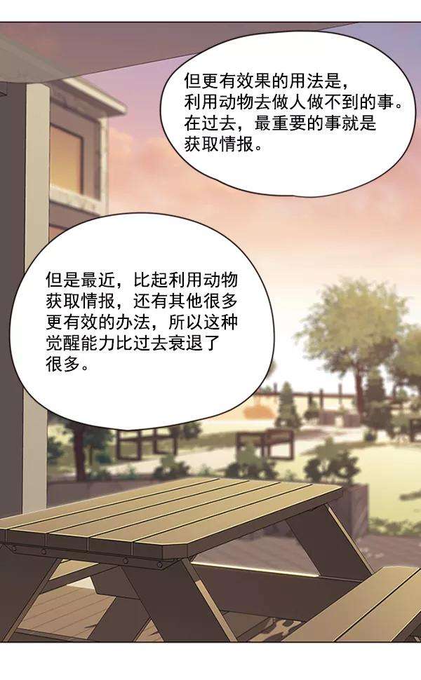 觉醒吧，铲屎官！81话