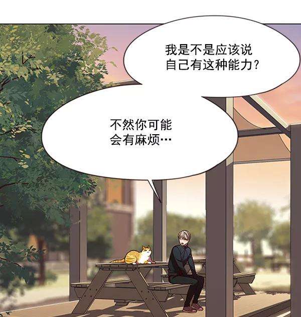 觉醒吧，铲屎官！81话